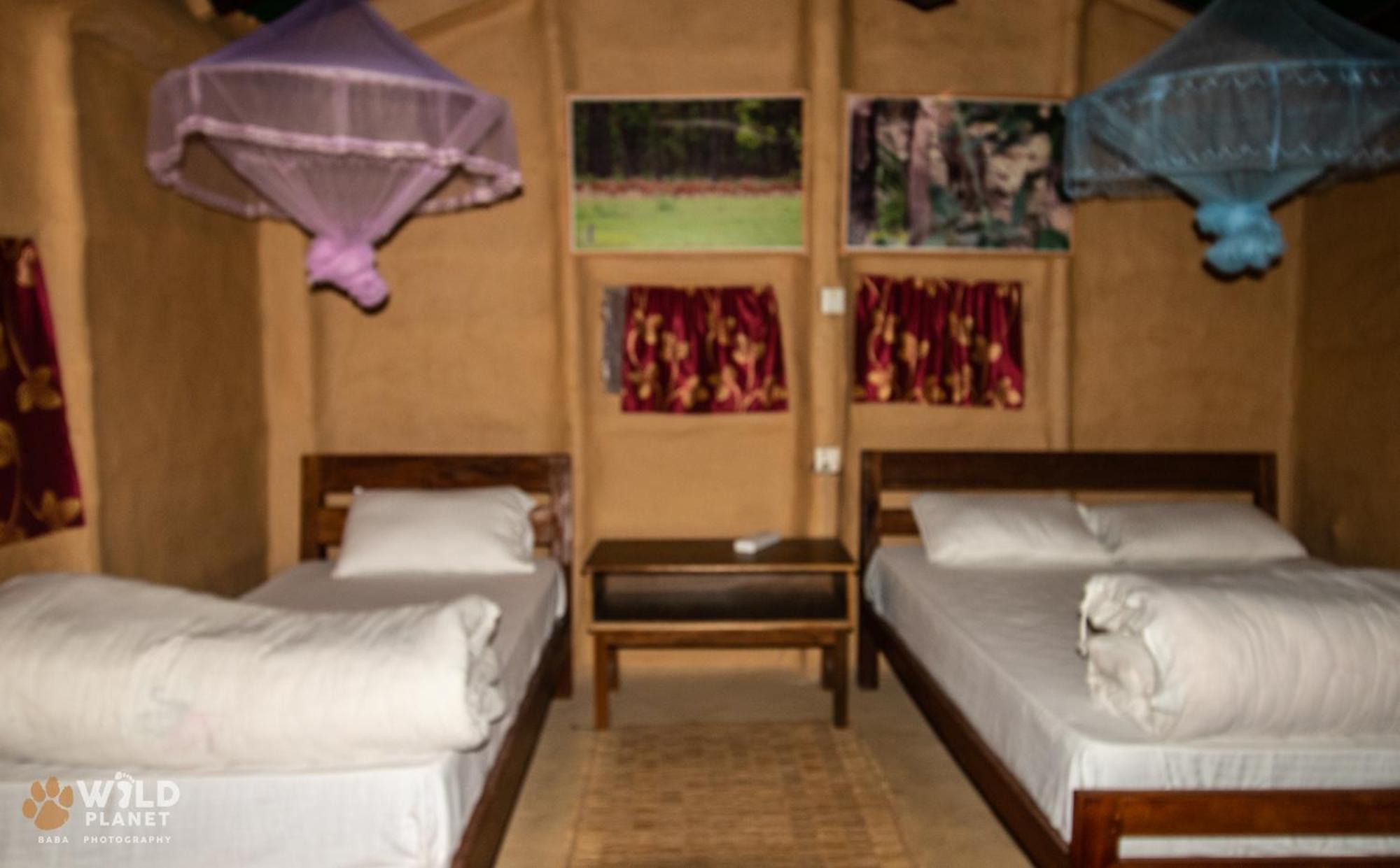 Wild Planet Eco Retreat Hotel Bardiya Exterior photo