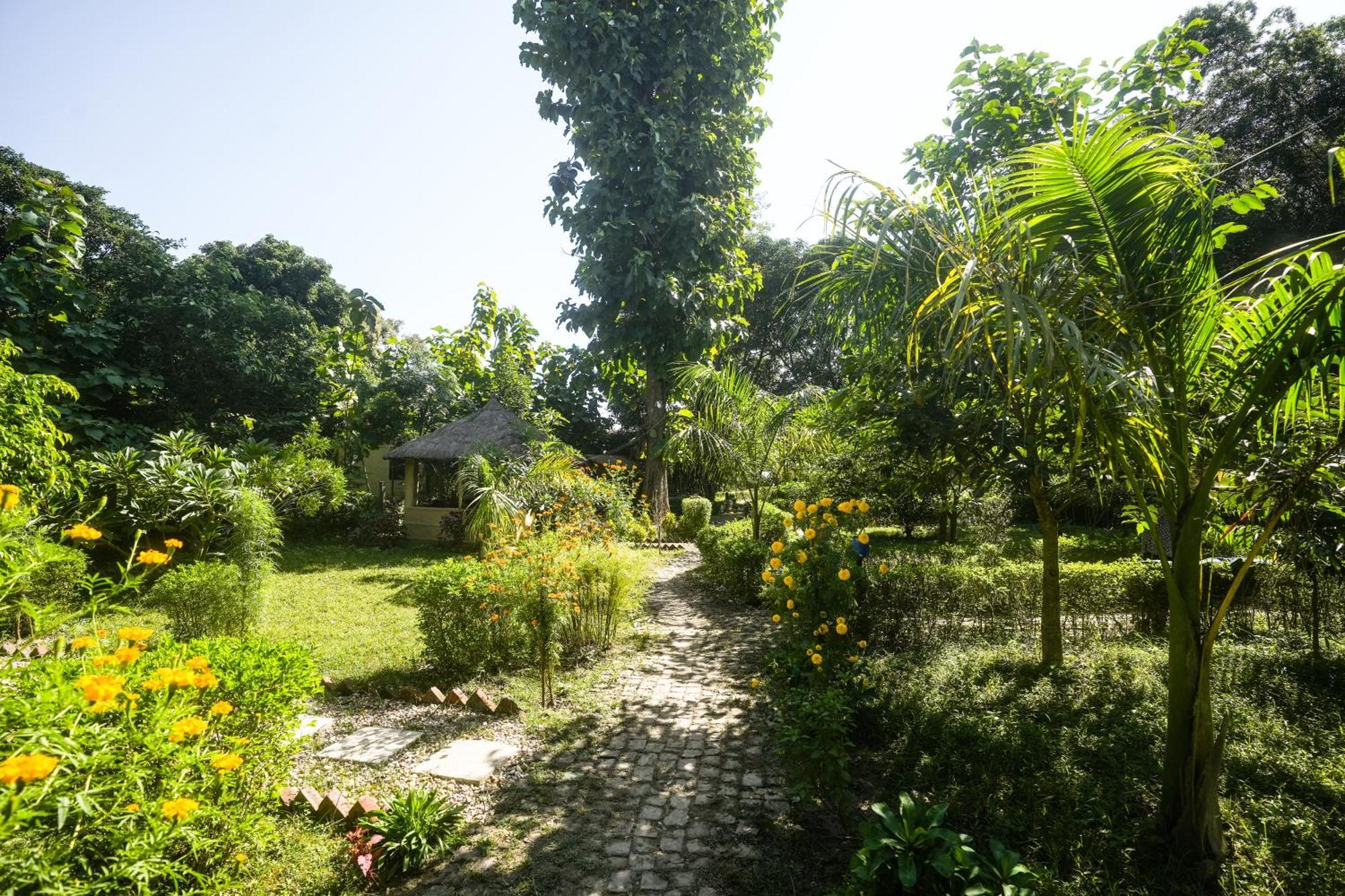 Wild Planet Eco Retreat Hotel Bardiya Exterior photo