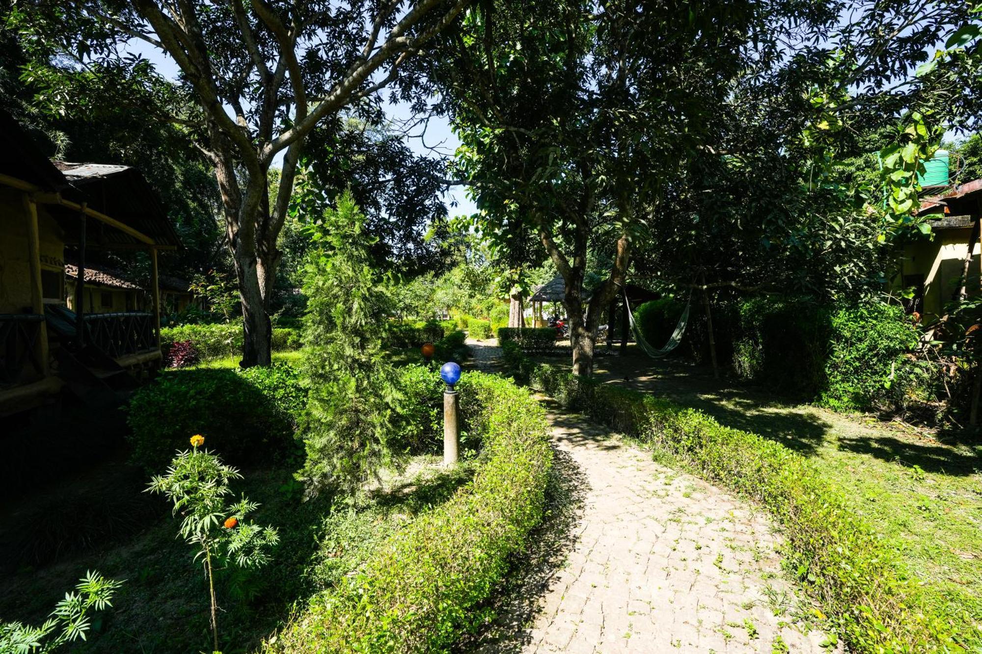 Wild Planet Eco Retreat Hotel Bardiya Exterior photo
