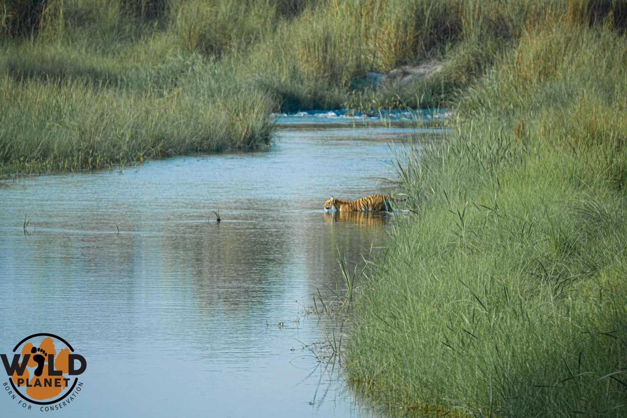 Wild Planet Eco Retreat Hotel Bardiya Exterior photo